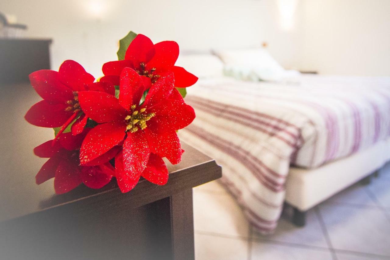 Adria Bella Locazione Turistica Bed & Breakfast Exterior photo